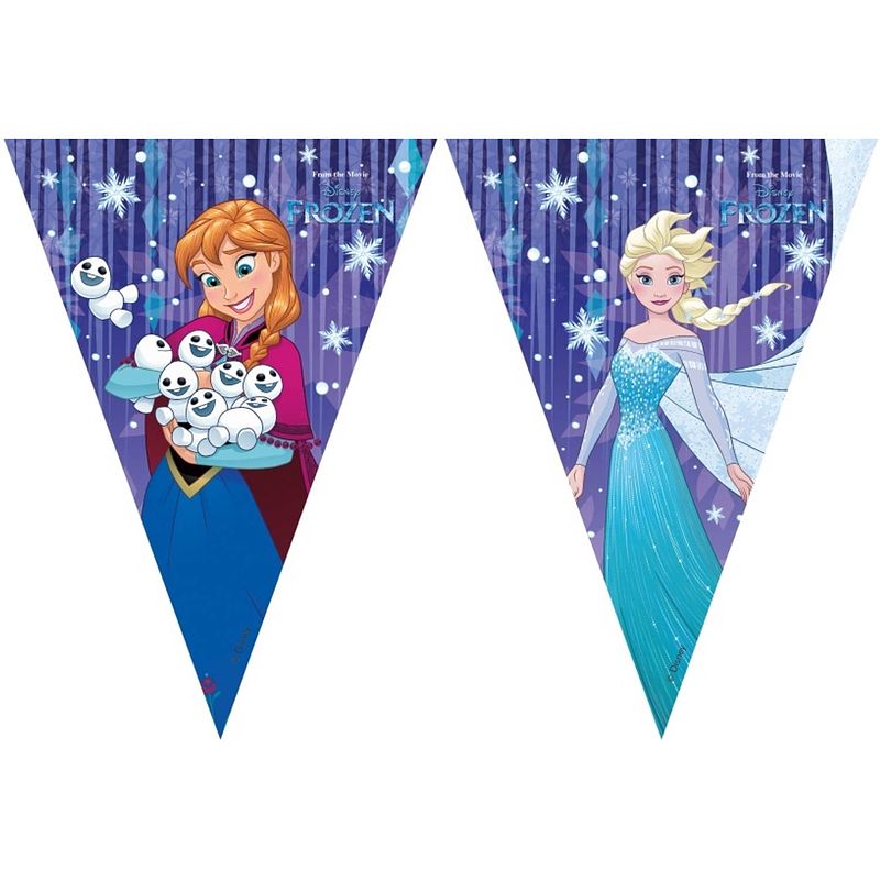 Foto van Disney frozen vlaggenlijn snowflake 230 cm