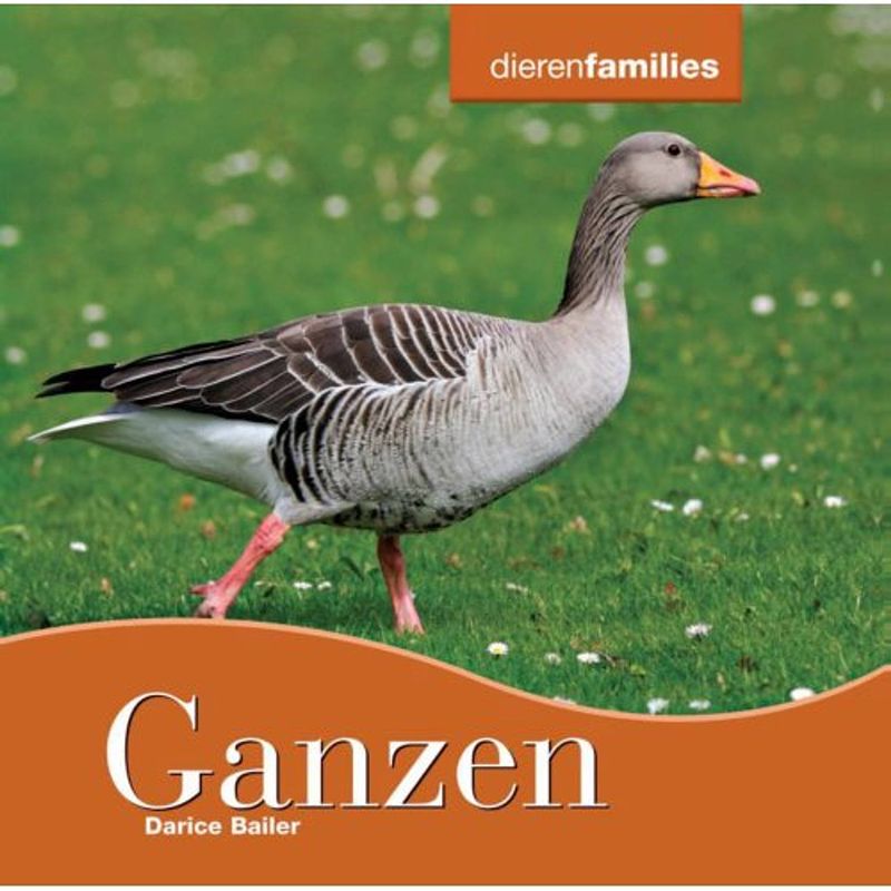 Foto van Ganzen - dierenfamilies