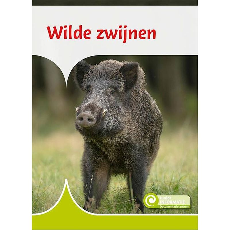 Foto van Wilde zwijnen