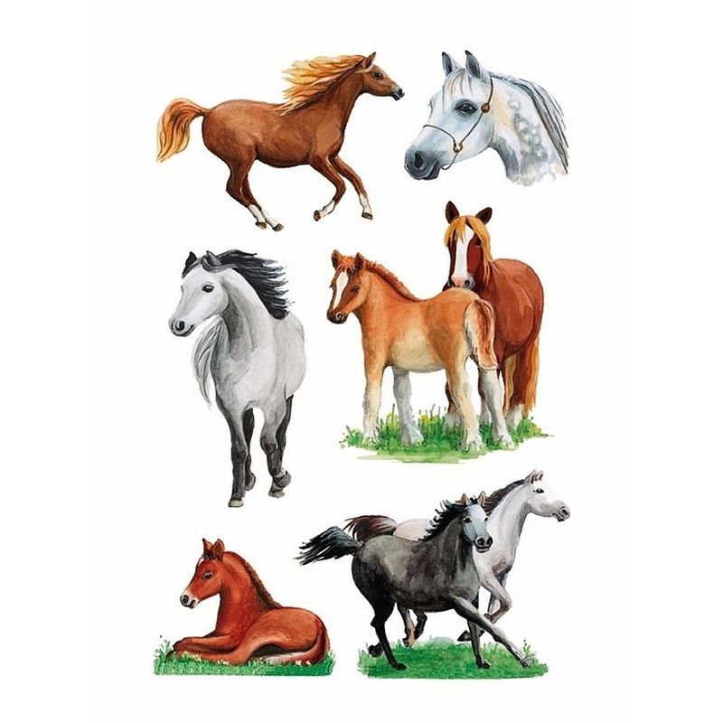 Foto van Paarden stickers 3 vellen - stickers