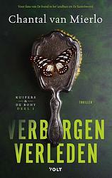 Foto van Verborgen verleden - chantal van mierlo - ebook