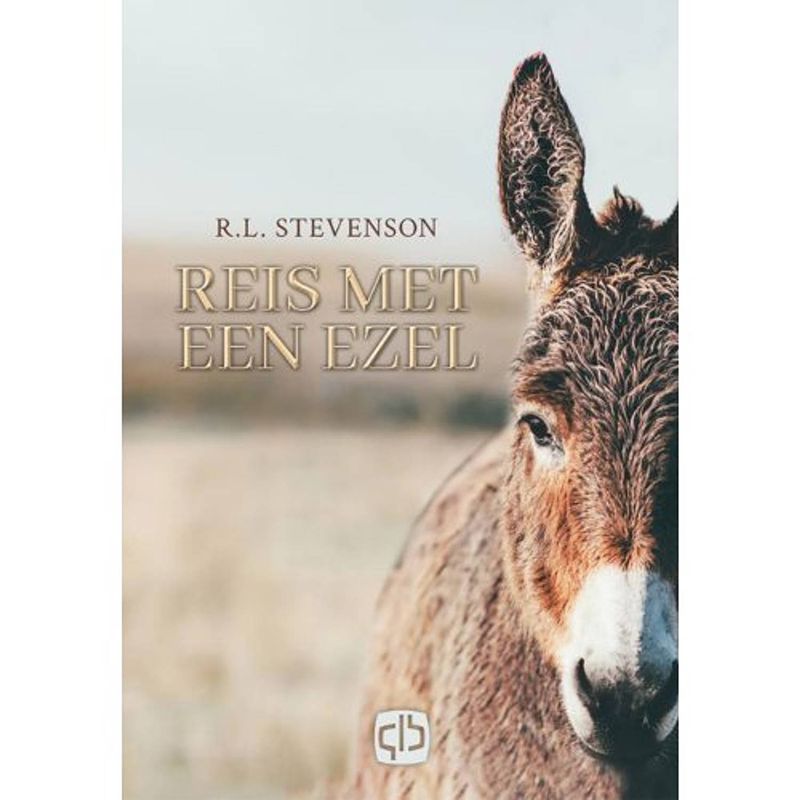 Foto van Reis met een ezel