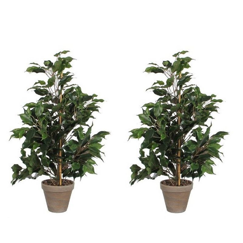 Foto van 2x groene tropische ficus kunstplanten 65 cm voor binnen - kunstplanten