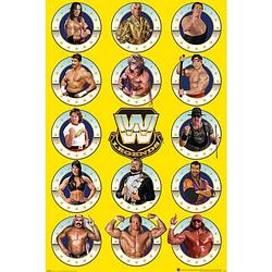 Foto van Pyramid wwe legends chrome poster 61x91,5cm