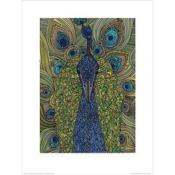 Foto van Pyramid valentina ramos the peacock kunstdruk 30x40cm