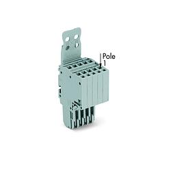 Foto van Wago 2020-205/143-000 connector, female 50 stuk(s)