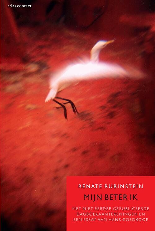 Foto van Mijn beter ik - renate rubinstein - ebook (9789045031866)