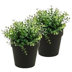Foto van 2x kunstplant eucalyptus groen in zwarte pot 20 cm - kunstplanten