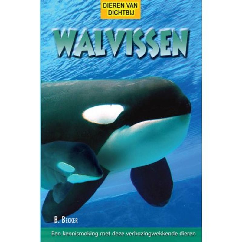 Foto van Walvissen - dieren van dichtbij