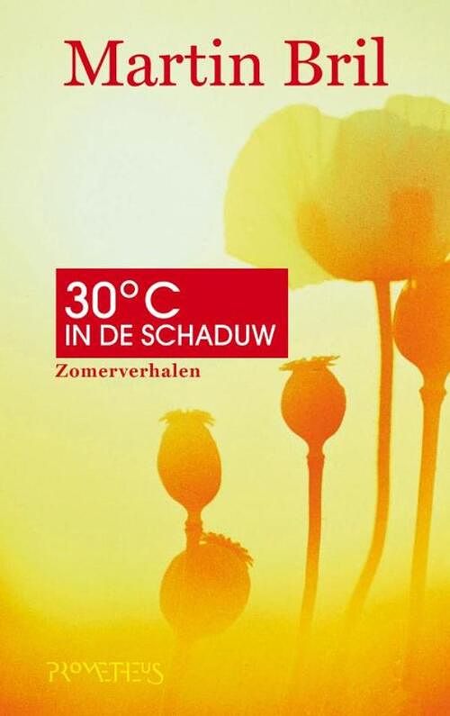 Foto van Dertig graden in de schaduw - martin bril - ebook (9789044618785)