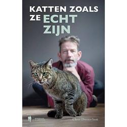 Foto van Katten zoals ze echt zijn