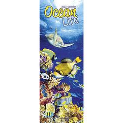 Foto van Ocean life kalender 2023 slimline