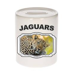 Foto van Dieren luipaard spaarpot - jaguars/ jaguars/ luipaarden spaarpotten kinderen 9 cm - spaarpotten