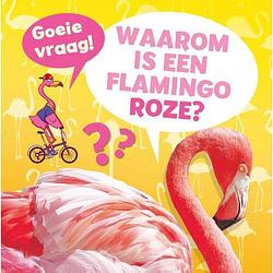 Foto van Waarom is een flamingo roze?