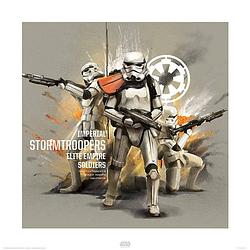 Foto van Pyramid star wars rogue one stormtroopers profile kunstdruk 40x40cm