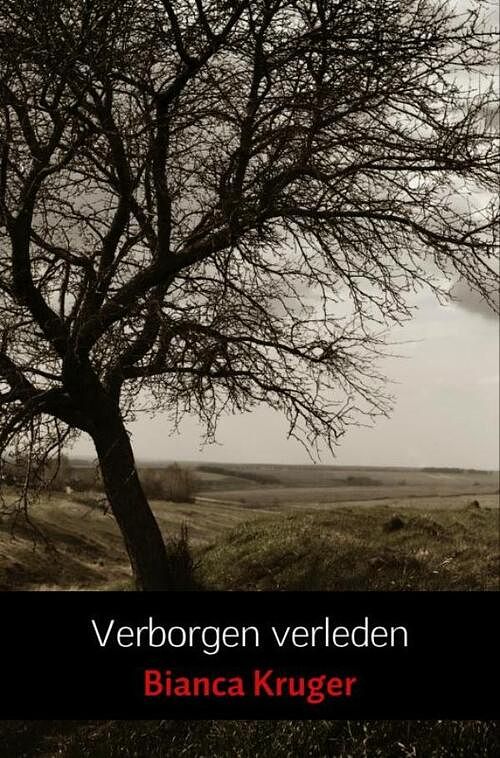 Foto van Verborgen verleden - bianca kruger - ebook (9789402193169)