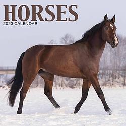 Foto van Paarden mini kalender 2023