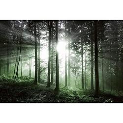 Foto van Wizard+genius sun rays vlies fotobehang 384x260cm 8-banen