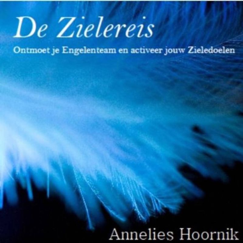 Foto van De zielereis