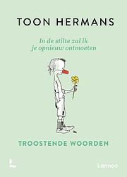 Foto van In de stilte zal ik je opnieuw ontmoeten - toon hermans - ebook (9789401491846)