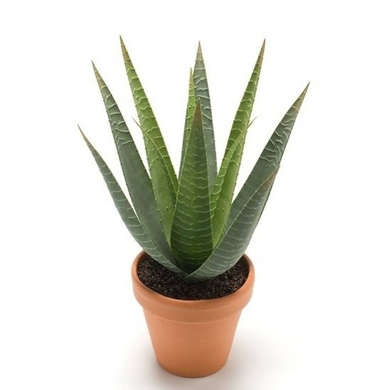 Foto van Kunstplant aloe vera groen in terracotta pot 23 cm - kunstplanten