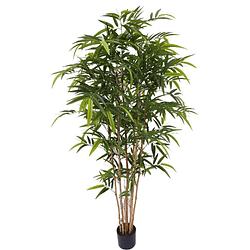 Foto van Bamboe kunstplant 180 cm