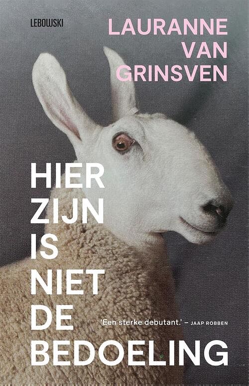 Foto van Hier zijn is niet de bedoeling - lauranne van grinsven - ebook (9789048862443)