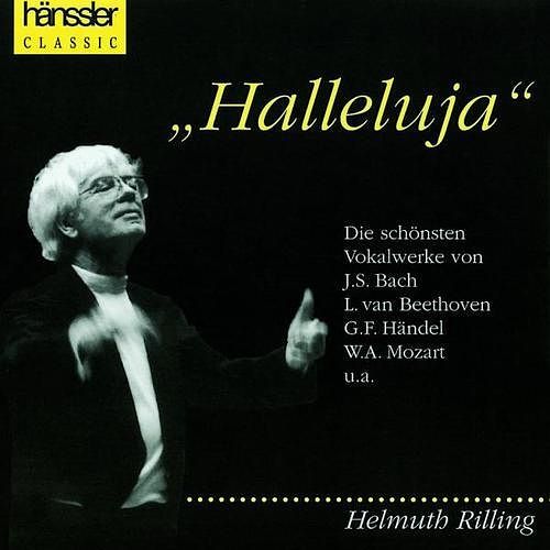 Foto van Halleluja - cd (4010276005421)