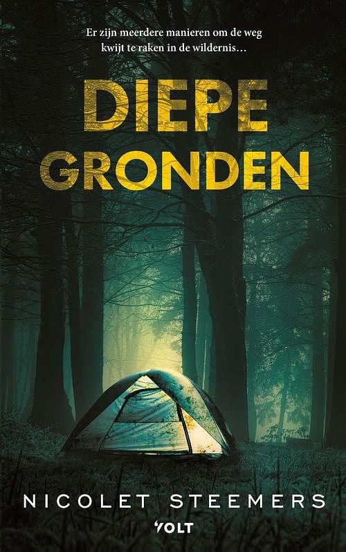 Foto van Diepe gronden - nicolet steemers - ebook