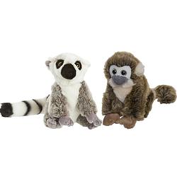 Foto van Apen serie zachte pluche knuffels 2x stuks - maki aap en squirrel aap van 18 cm - knuffeldier