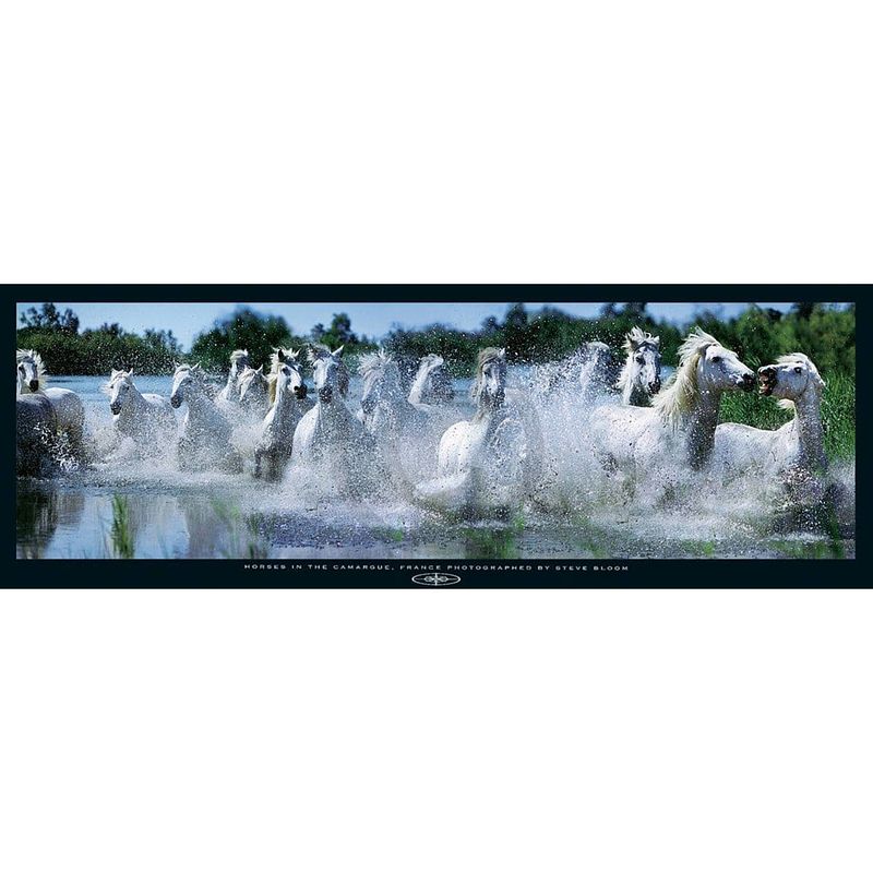 Foto van Steve bloom - horses in the camargue kunstdruk 95x33cm