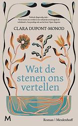 Foto van Wat de stenen ons vertellen - clara dupont-monod - hardcover (9789029096256)