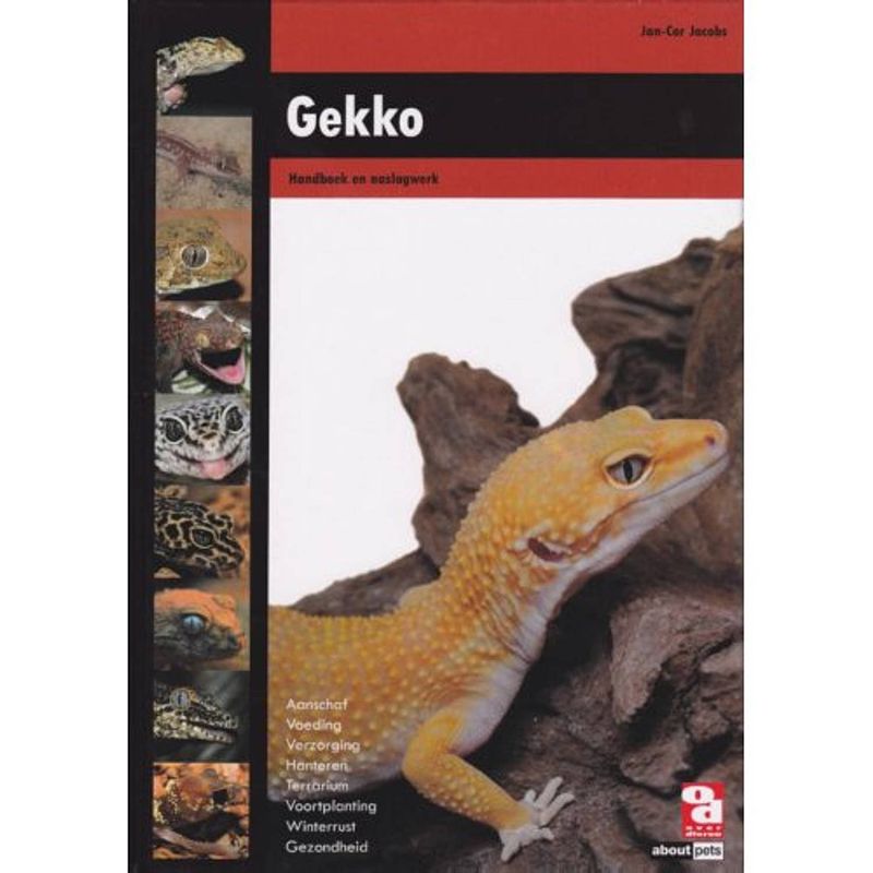 Foto van Gekko