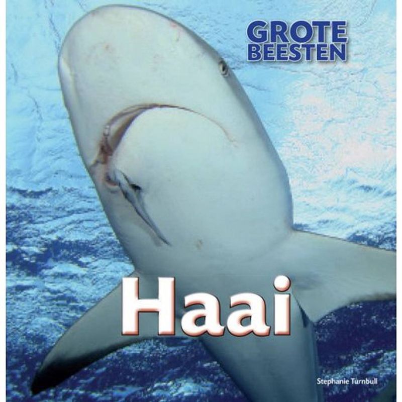 Foto van Haai - grote beesten