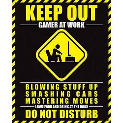 Foto van Pyramid gamer at work do not disturb poster 40x50cm
