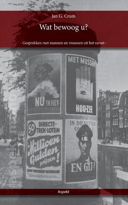 Foto van Wat bewoog u? - jan g. crum - ebook (9789464626834)