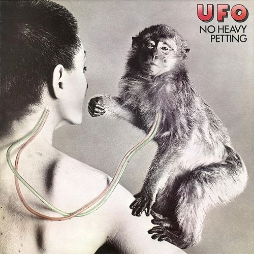 Foto van No heavy petting - lp (5060516099931)