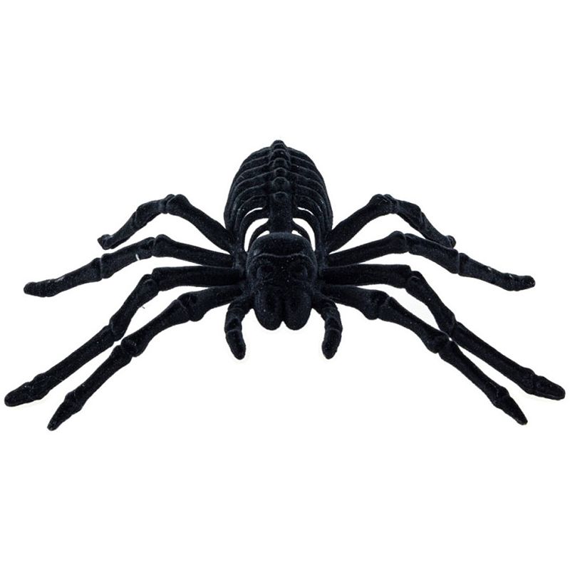 Foto van Chaks spin skeleta 22 cm - zwart - velvet/fluweel tarantula -a horror/griezel thema decoratie beestjes - feestdecoratiev