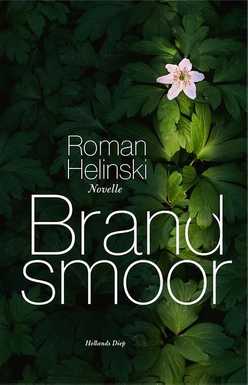 Foto van Brandsmoor - roman helinski - ebook (9789048844456)