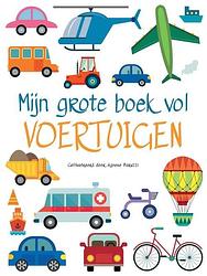 Foto van Mijn grote boek vol voertuigen - mijn grote boek vol... - kartonboekje;kartonboekje (9789036644945)