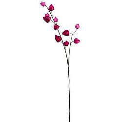 Foto van Kunsttak chinese lampion - fuchsia - 94 cm - leen bakker