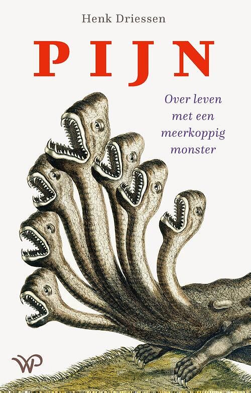 Foto van Pijn - henk driessen - ebook (9789462497047)