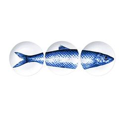 Foto van Borden met vis (3 stuks) heinen delfts blauw design delfts blauw wandbord wanddecoratie