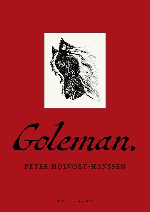 Foto van Goleman - peter holvoet-hanssen - ebook