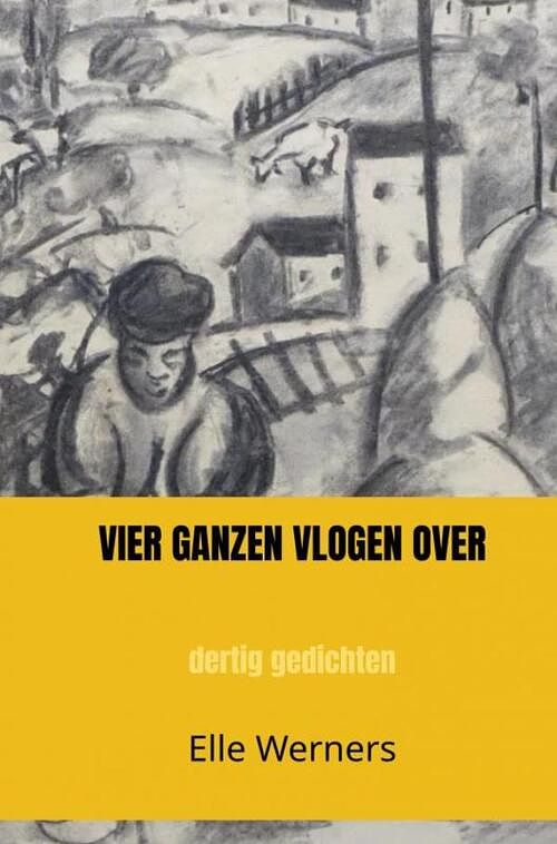 Foto van Vier ganzen vlogen over - elle werners - paperback (9789464857122)