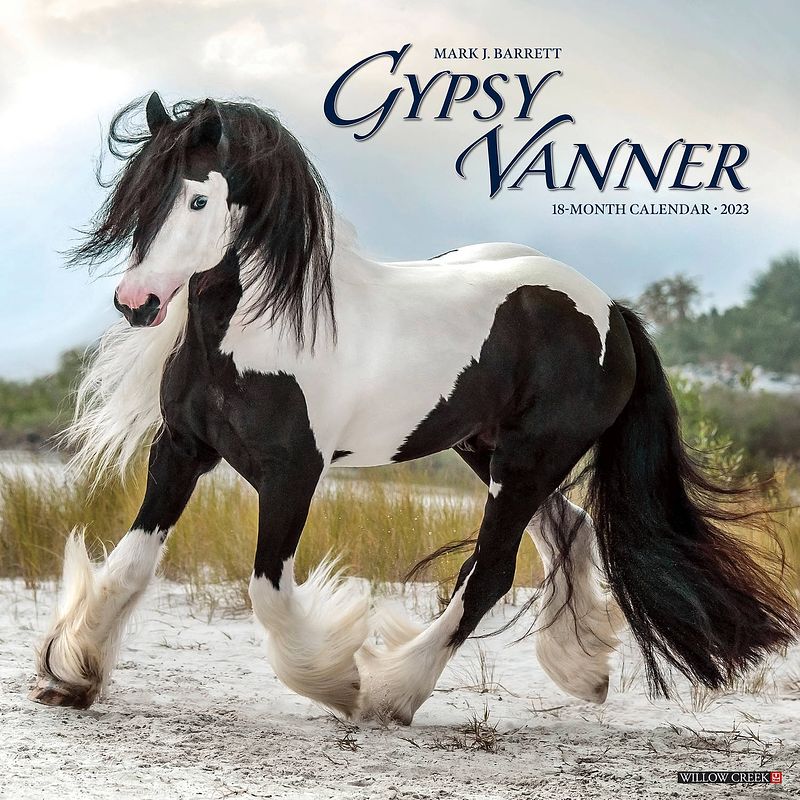 Foto van Gypsy vanner horse kalender 2023