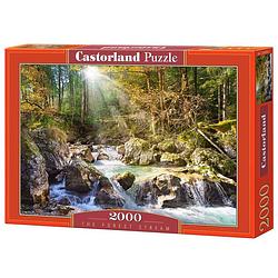 Foto van Castorland puzzel the forest stream - 2000 stukjes