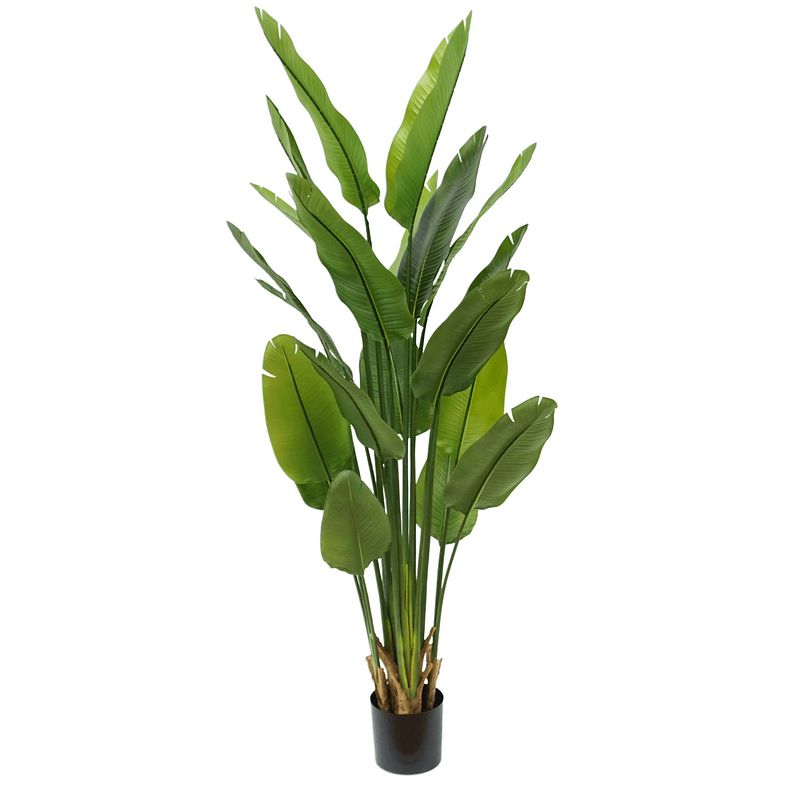 Foto van Strelitzia kunstplant 2 180cm