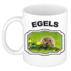 Foto van Dieren egel beker - hedgehogs/ egels mok wit 300 ml - feest mokken