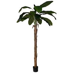 Foto van Gifts amsterdam kunstplant bananenboom 270 cm zijde groen
